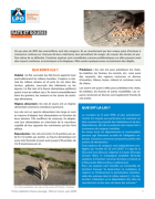 Fiche médiation sur les rongeurs